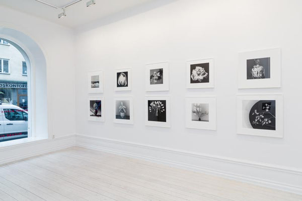 ROBERT MAPPLETHORPE: ICON